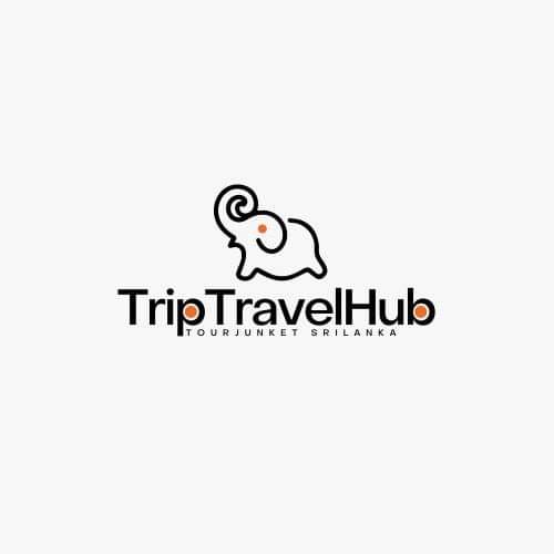 Trip Travel Hub